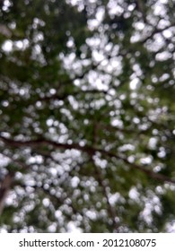 blurry image with trees background