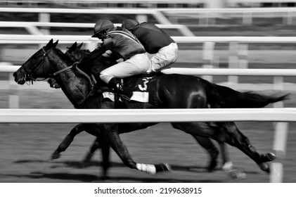 Blurry image of two jockeys and horses galloping to finish line, black and white