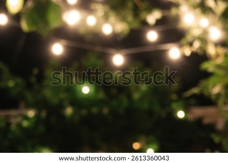 Blurry image of warm, glowing string lights hanging in a lush garden at night.