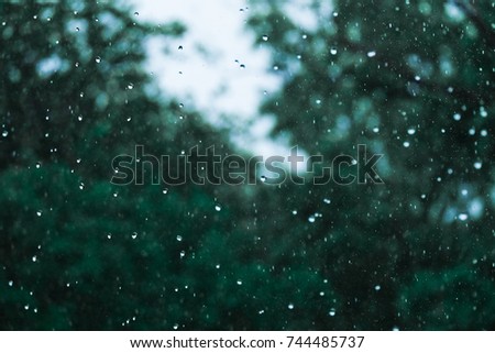 Similar – Image, Stock Photo Snow/Rain Nature Air