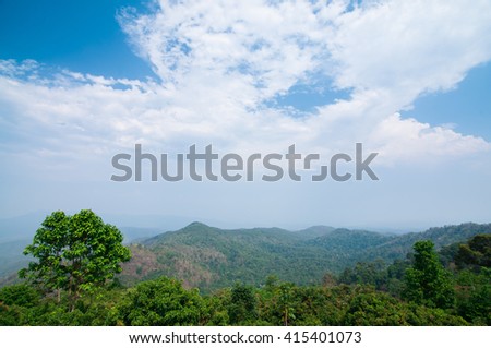 Blurry of Landscape of forest with blusky.background