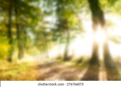 Blurry Landscape With Sun Useful As Background