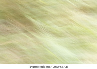 Blurry motion, bright light, movement, abstraction