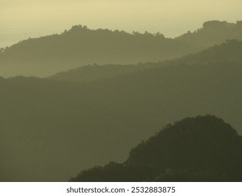 A blurry mountain range with trees in the foreground. The mountains are covered in trees and the sky is cloudy