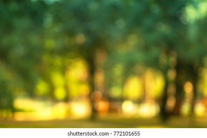 free nature wallpapers blur