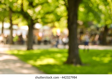 Blurry Park Background