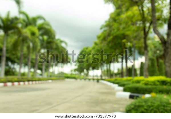 Blurry photo . Road and parking in the park.\
There is a beautiful\
garden.