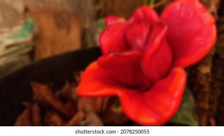 Blurry Portrait Of A Big Red Flower In The Garden