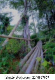 Blurry Portrait Of Natural Bamboo Bridge
