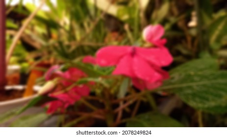 Blurry Portrait Of Pink Flowers In The Garden