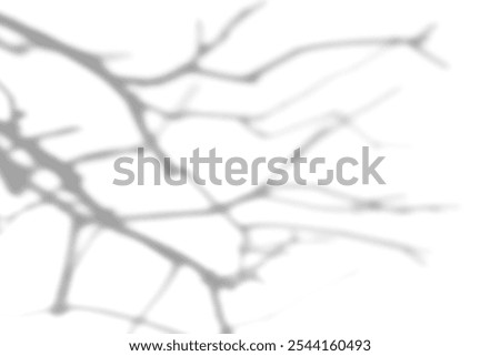 Blurry silhouette of tree branches casting aesthetic nature shadows. Abstract branches shadows, and silhouettes creating a mysterious, artistic effect. Isolated on white background