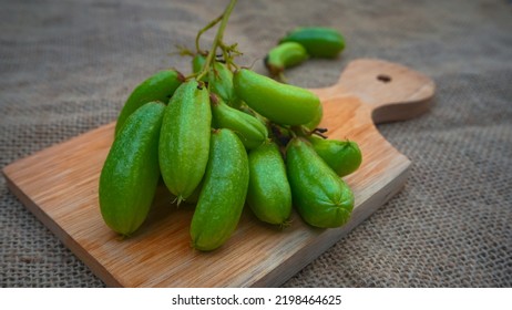 Blurry Vegetable starfruit or sour starfruit (Averrhoa bilimbi L.) are used as cooking spices. Belimbing wuluh. 