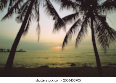 Blurry View Of Palm Trees Silhouette On Beach At Tropical Island During Sunset With Clouds In Blue And Orange Sky Background. No People.