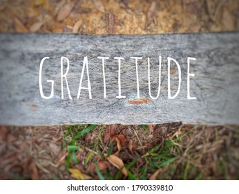 Blurry wood background with word - GRATITUDE