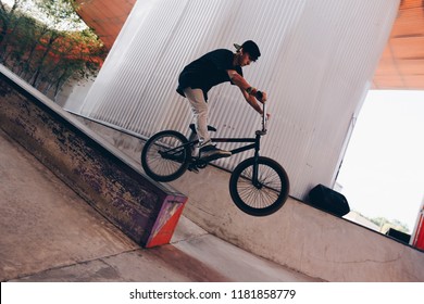 tail whip bmx