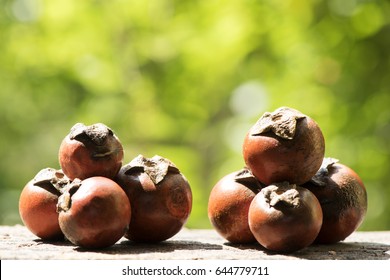 Bo Tree, Sacred Fig Tree, Pipal Tree, Peepul Tree On Natural Background.
