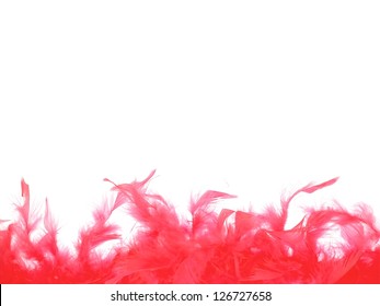 Boa feathers isolated against a white background - Shutterstock ID 126727658