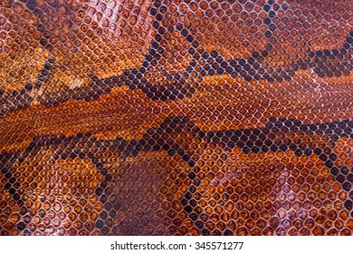 Boa Or Python Snake Pattern Skin