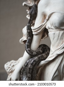 Boa Snake Standing On A Marble Statue