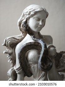 Boa Snake Standing On A Marble Statue