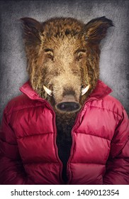 Boar in clothes. Man with a head of an boar. Concept graphic in vintage style with soft oil painting style. 