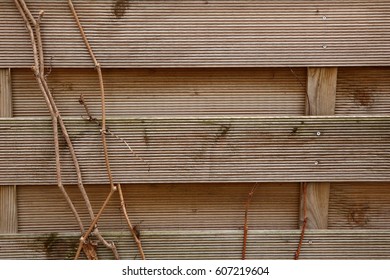 Board