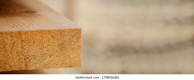 Board made of larch wood, isolated on a natural background. Close-up of a wooden Board. Concept of woodworking industry, construction. Copy space, banner
