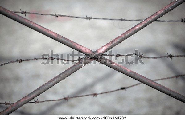 boarder detail - old thin\
barb wire with metal crossed bars close up on a sunny day with\
natural light