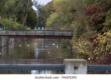 Boardman River Flowing Through Downtown Traverse City On A Overcast Fall Day