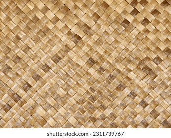tablas hechas plantas Actinoscirpus