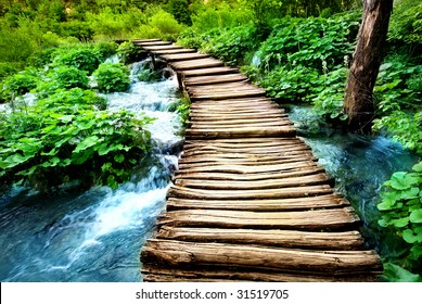 boardwalk - Powered by Shutterstock