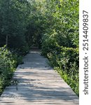 Boardwalk along the pond on nuns