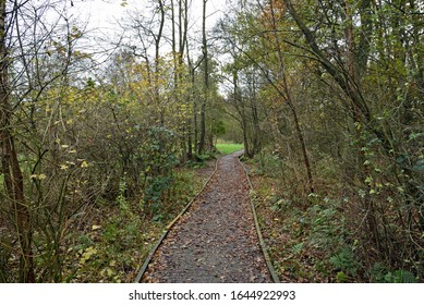 Boardwalk At Askham Bog Nature Reserve And SIte Of Special Scientific Interest