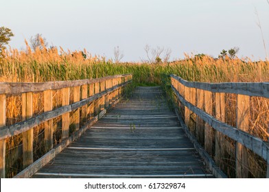 Boardwalk. Back Bay National Wildlife Refuge. Virginia Beach. Virginia