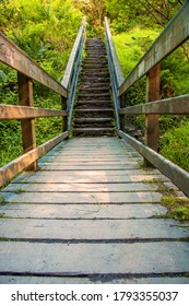 The Boardwalk Bridge At Gortin Glen, Co. Tyrone