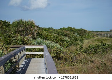 Boardwalk And Dunes At Cape Canaveral Beach