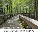 Boardwalk at Falling Waters State Park in Chipley, Florida. 