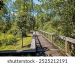 Boardwalk in Falling Waters State Park, Chipley, Florida