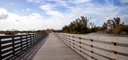 Boardwalk Goes Through The Swamp At Lakes Park In Fort Myers, Florida And Displays The Damage Done By Hurricane Irma With Uprooted Trees.