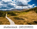 Boardwalk in Gros Morne National Park