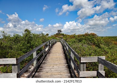 The boardwalk in Jonathon Dickenson State Park to the elevated Hobe Mountain Tower, for beautiful aerial vistas.