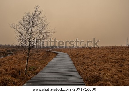 A boardwalk leads through the moor landscape of the High Fens nature reserve in Belgium