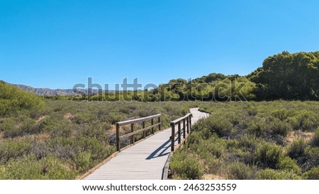 Boardwalk marsh trail path through goldenbush at the Big Morongo Canyon Preserve in Morongo Valley, California