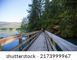 Boardwalk on the lake in the forest, Packwood lake, Washington, USA