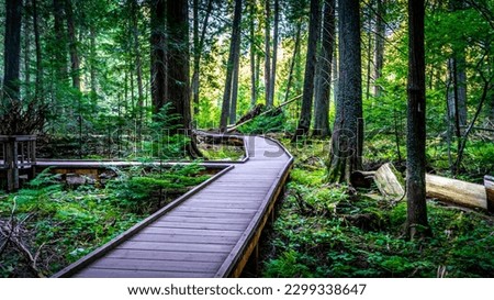 Boardwalk on the Trail of the Cedars in Glacier National Park, Montana, USA
