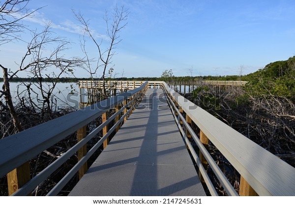 Boardwalk on West Lake in Everglades National\
Park, Florida recently reopened after extensive repairs following\
Hurricane Irma damage, at\
sunrise.