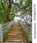 Boardwalk over water under trees 