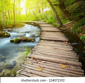 Boardwalk in the park - Powered by Shutterstock