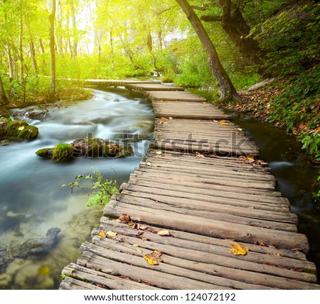 Boardwalk in the park