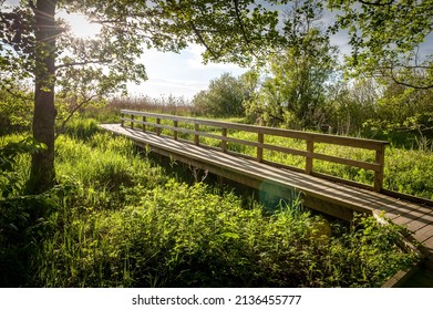 Boardwalk path through wetlands area. Kabli nature study trail. Estonia.  - Powered by Shutterstock